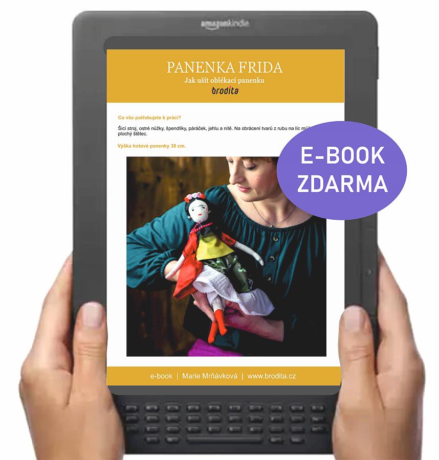 FRIDA e-book v